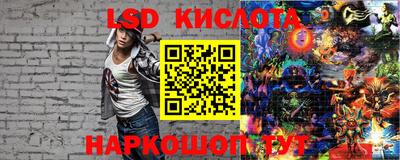 индика Аргун