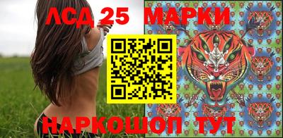 индика Аргун