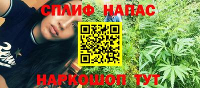 индика Аргун