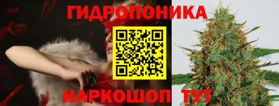 крисы Апрелевка