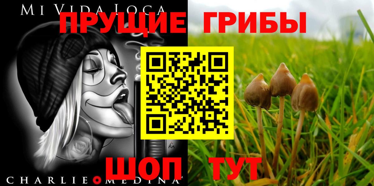 Псилоцибиновые грибы прущие грибы  закладки  Выборг  Вход с VPN 