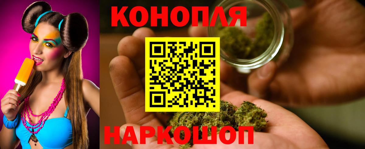 МЕФ Выборг