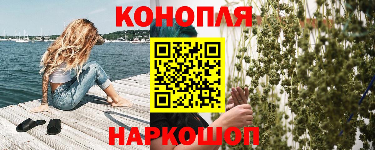 Конопля планчик  Вход с VPN  Марихуана конопля  Выборг 